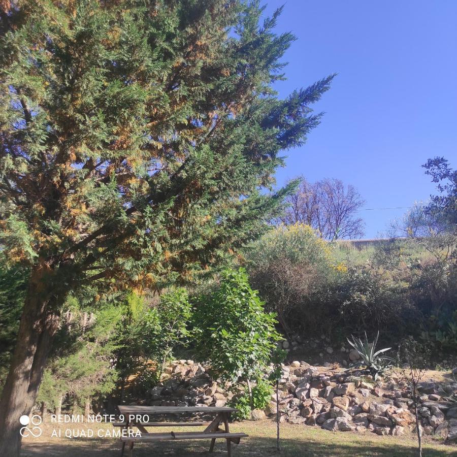 Villa Casaleno Gite La Cigale Avec Wi-Fi Millas Exteriör bild